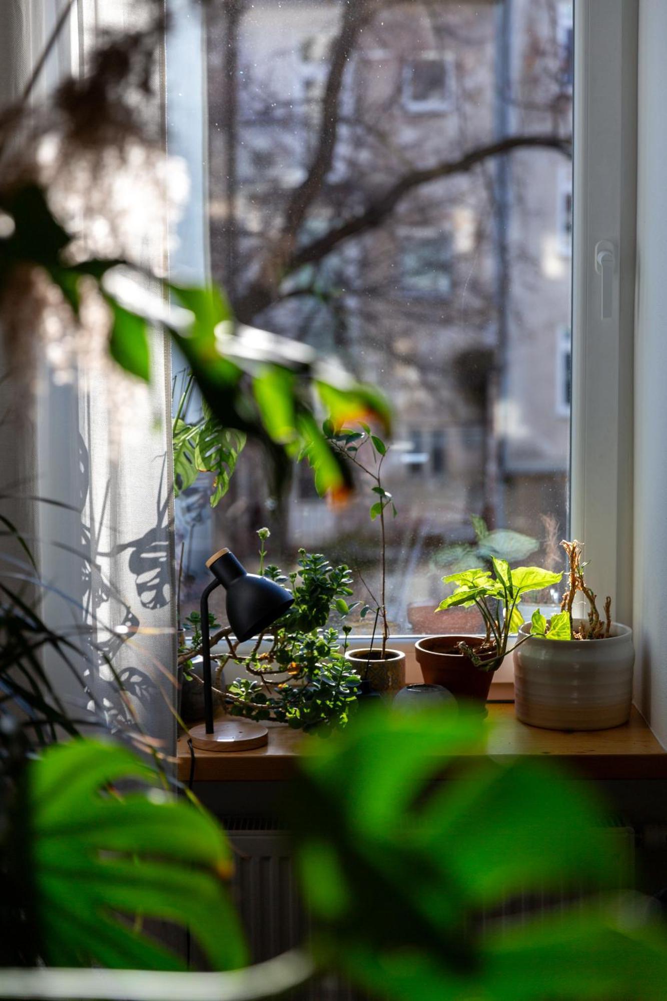 Evergreen - Old Town Spacious Stylish Apartment With Ac And One And A Half Bath, Baby & Kid- Friendly Bratislava Exterior photo
