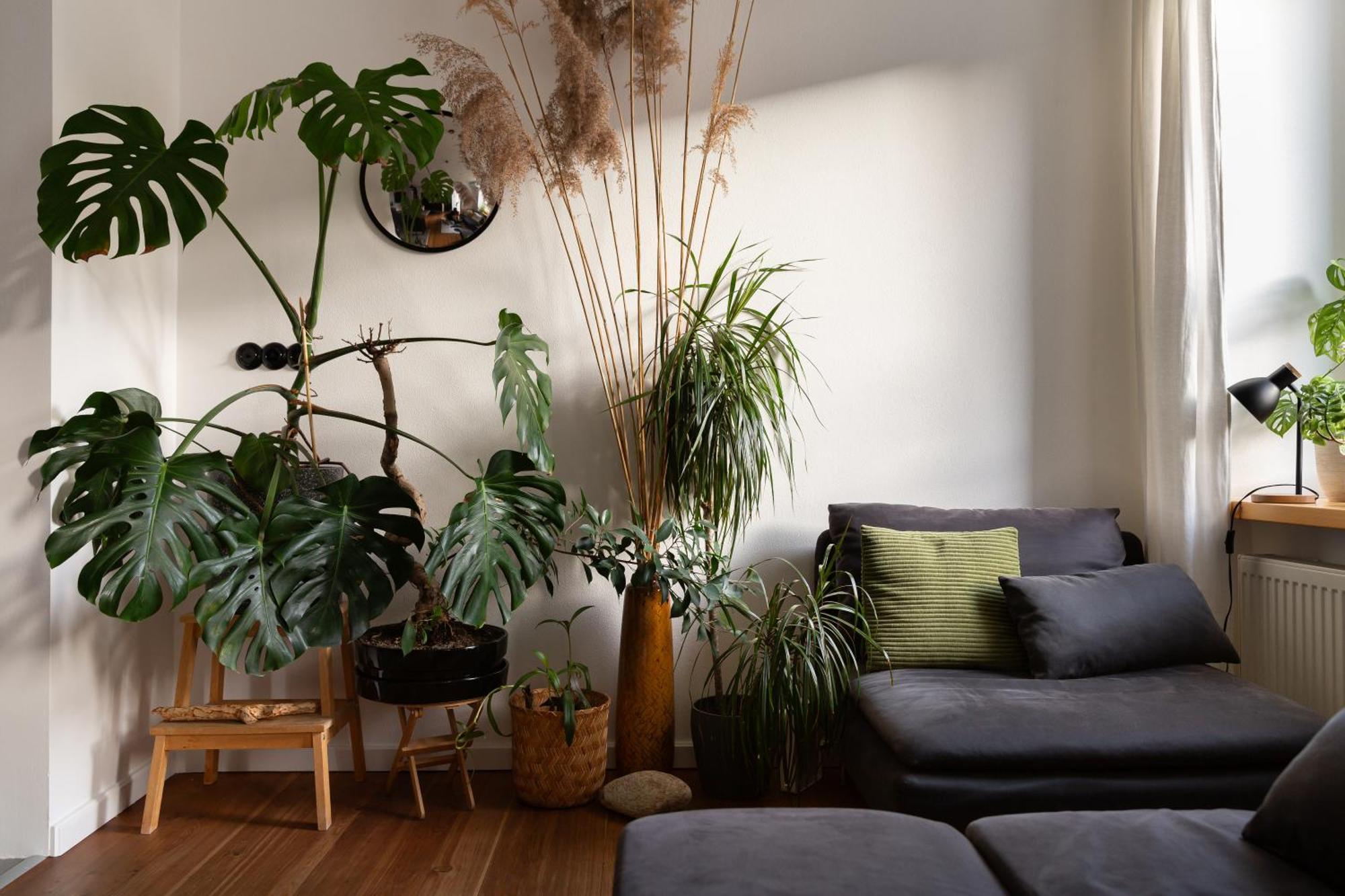 Evergreen - Old Town Spacious Stylish Apartment With Ac And One And A Half Bath, Baby & Kid- Friendly Bratislava Exterior photo